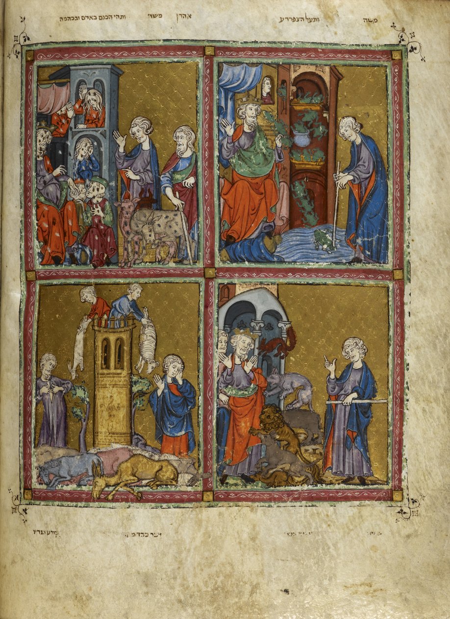 Szenen aus Exodus: Die Plagen von Läusen, Fröschen, Viehpest und Pestilenz, Illustrationen aus 