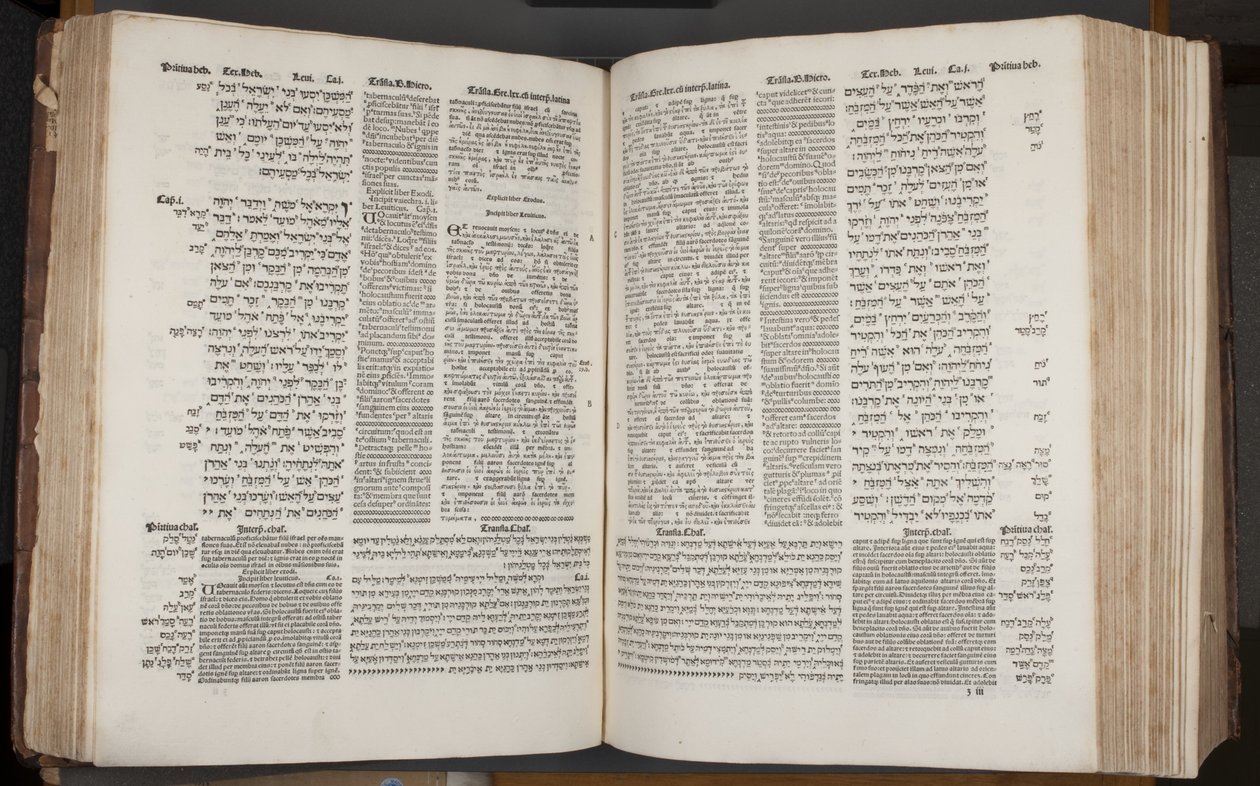 Complutensische Polyglottenbibel, gedruckt von Arnao Guillen de Brocar von Spanish School
