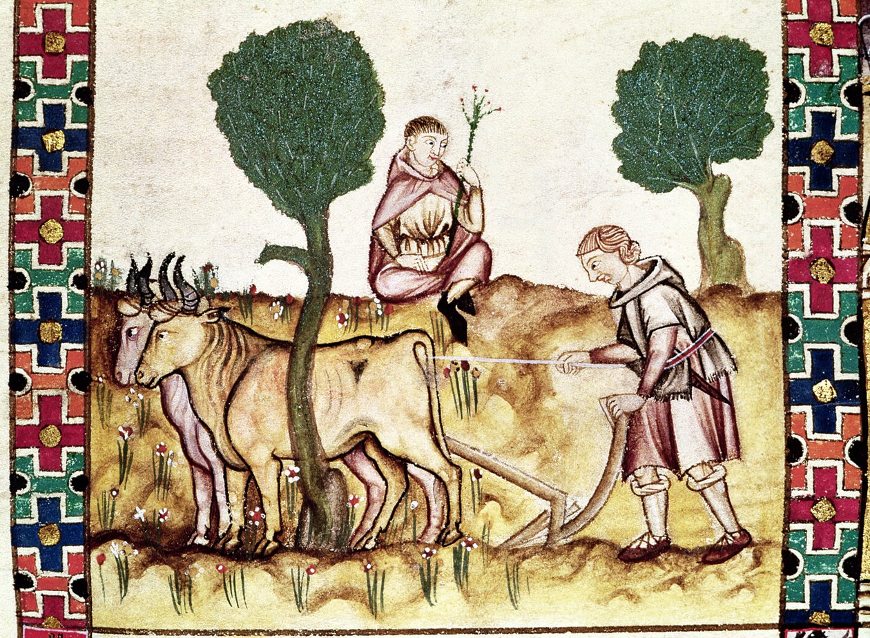Fol.237r Ein Bauer lehrt seinen Sohn, ein Feld zu pflügen von Spanish School