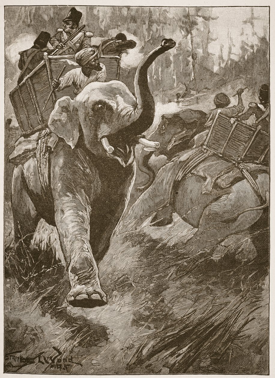 Die erschreckten Elefanten stürmten zurück und krachten durch den Wald, Illustration aus 