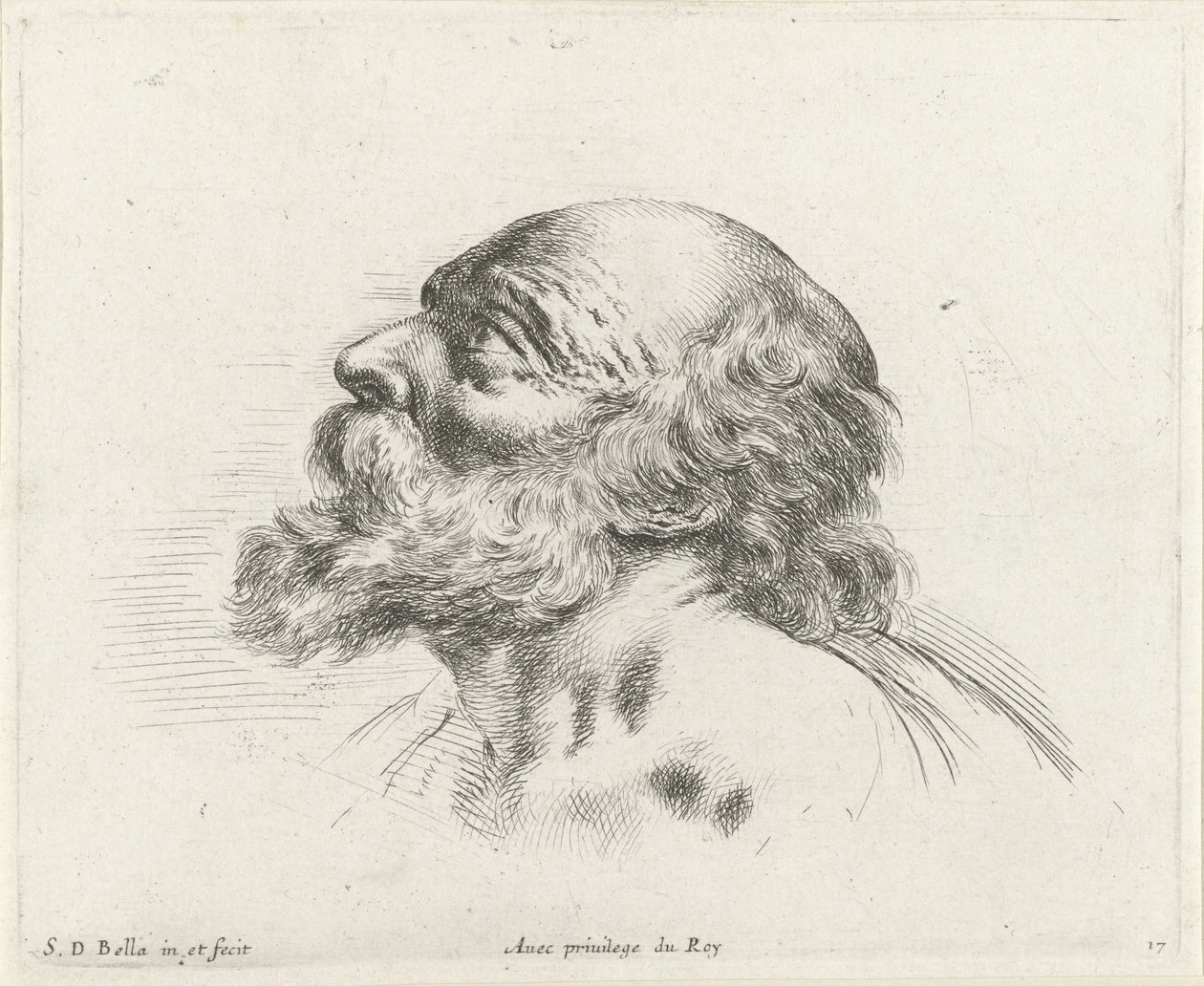Kopf eines kahlen alten Mannes mit Bart, im Profil nach links (möglicherweise H. Petrus) von Stefano della Bella
