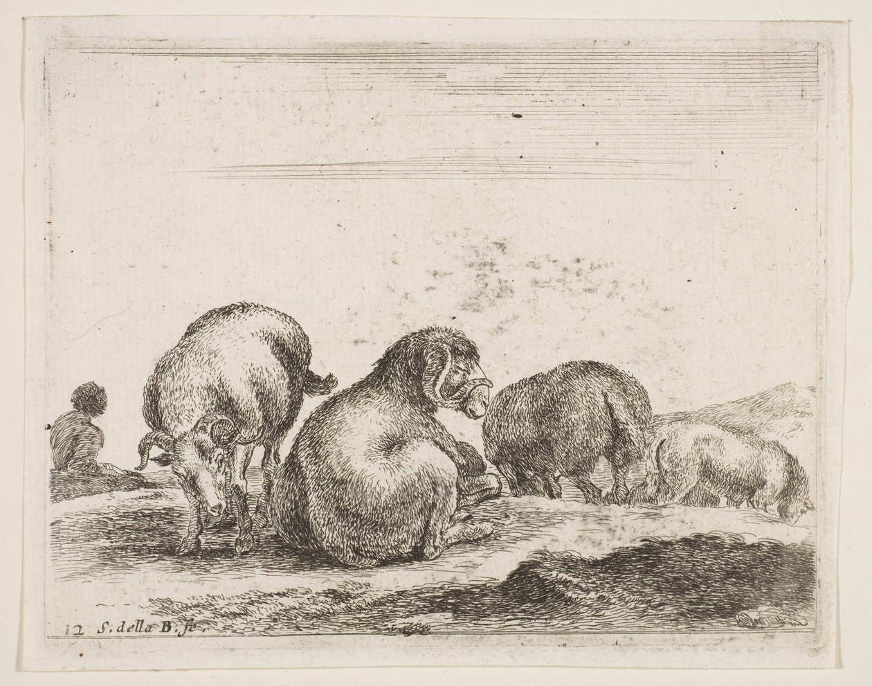 Tafel 12: Schafe und Widder auf einer Weide, aus Verschiedene Tiere, ca. 1641 von Stefano della Bella