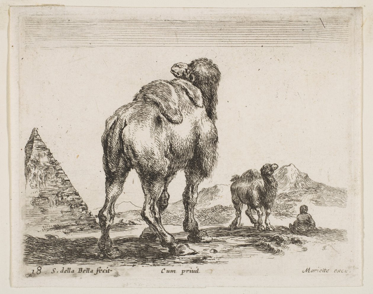 Tafel 18: Kamel von hinten gesehen mit Pyramide links, aus Verschiedene Tiere Diversi animali, ca. 1641 von Stefano della Bella