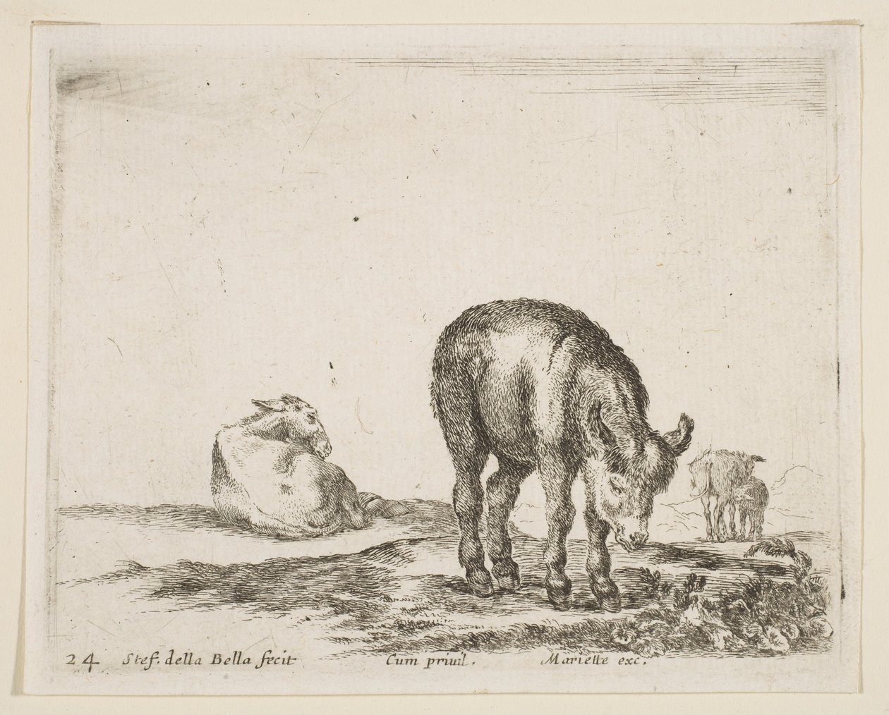 Tafel 24: Esel, aus Verschiedene Tiere, ca. 1641 von Stefano della Bella