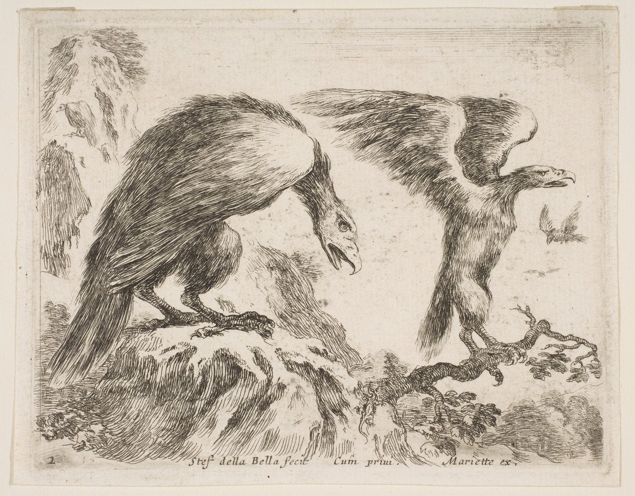 Tafel 2: Adler und Adlerjunges, aus Verschiedene Tiere, ca. 1641 von Stefano della Bella