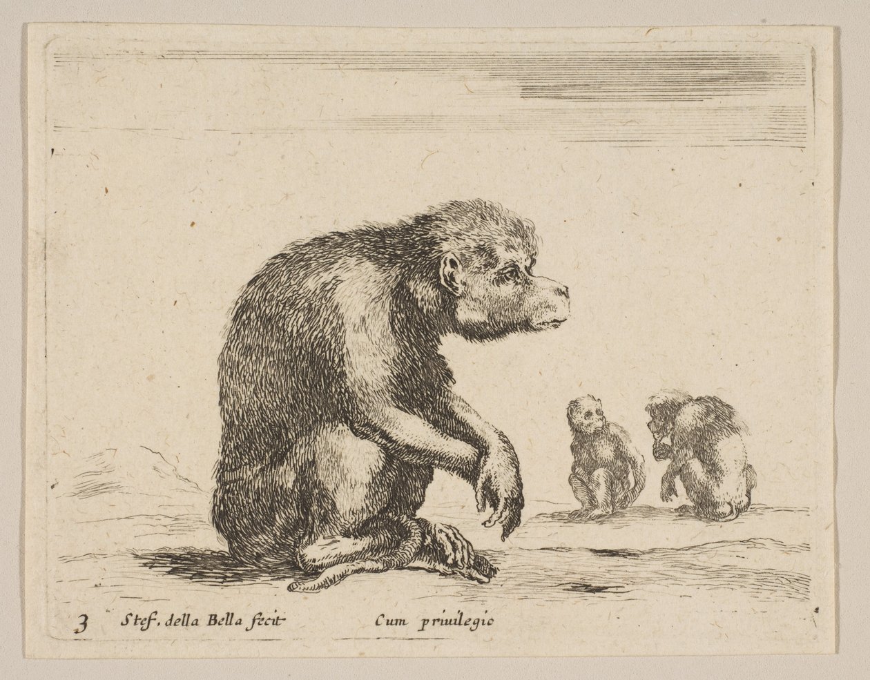 Tafel 3: sitzender Affe, aus Verschiedene Tiere Diversi animali, ca. 1641 von Stefano della Bella