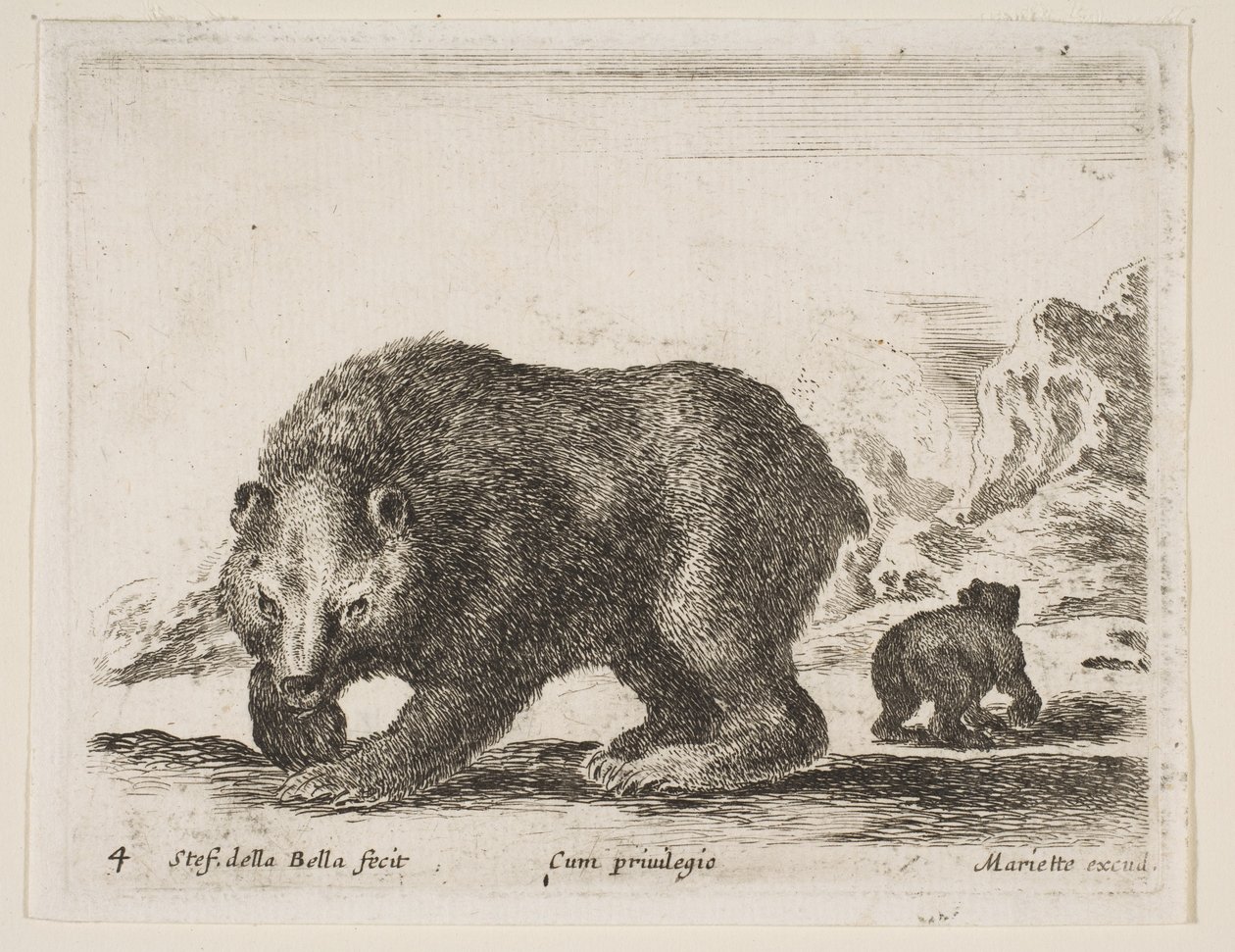 Tafel 4: Bär, aus 