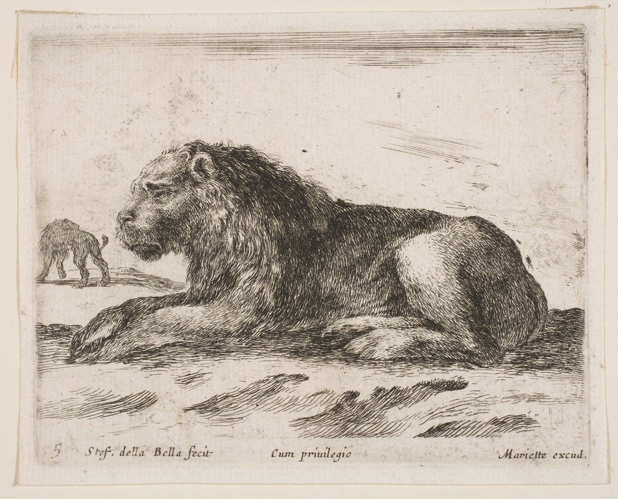 Tafel 5: liegender Löwe, aus Verschiedene Tiere Diversi animali, 1641 von Stefano della Bella