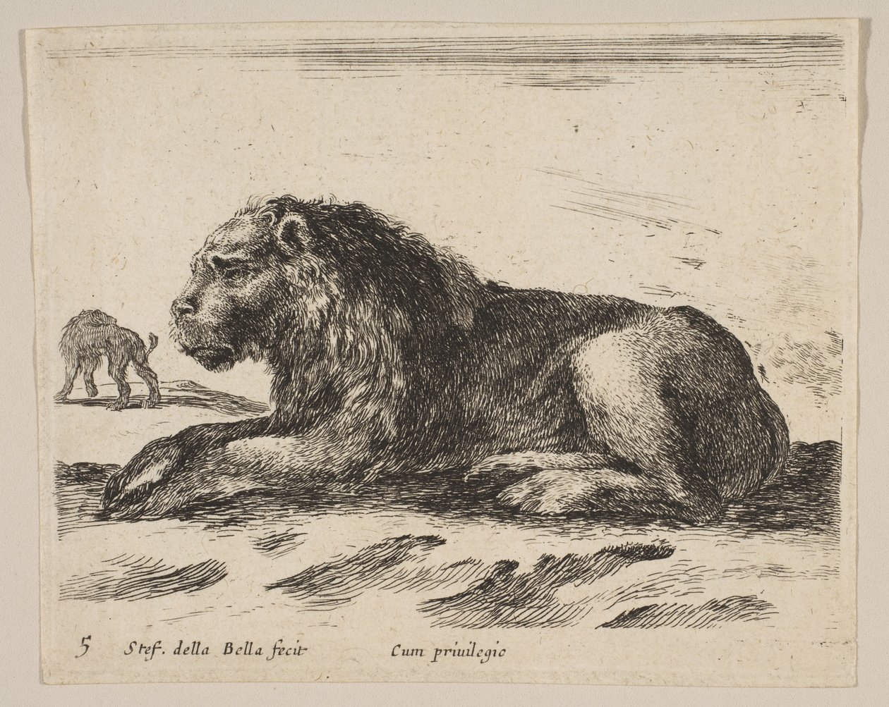 Tafel 5: liegender Löwe, aus Verschiedene Tiere Diversi animali, ca. 1641 von Stefano della Bella