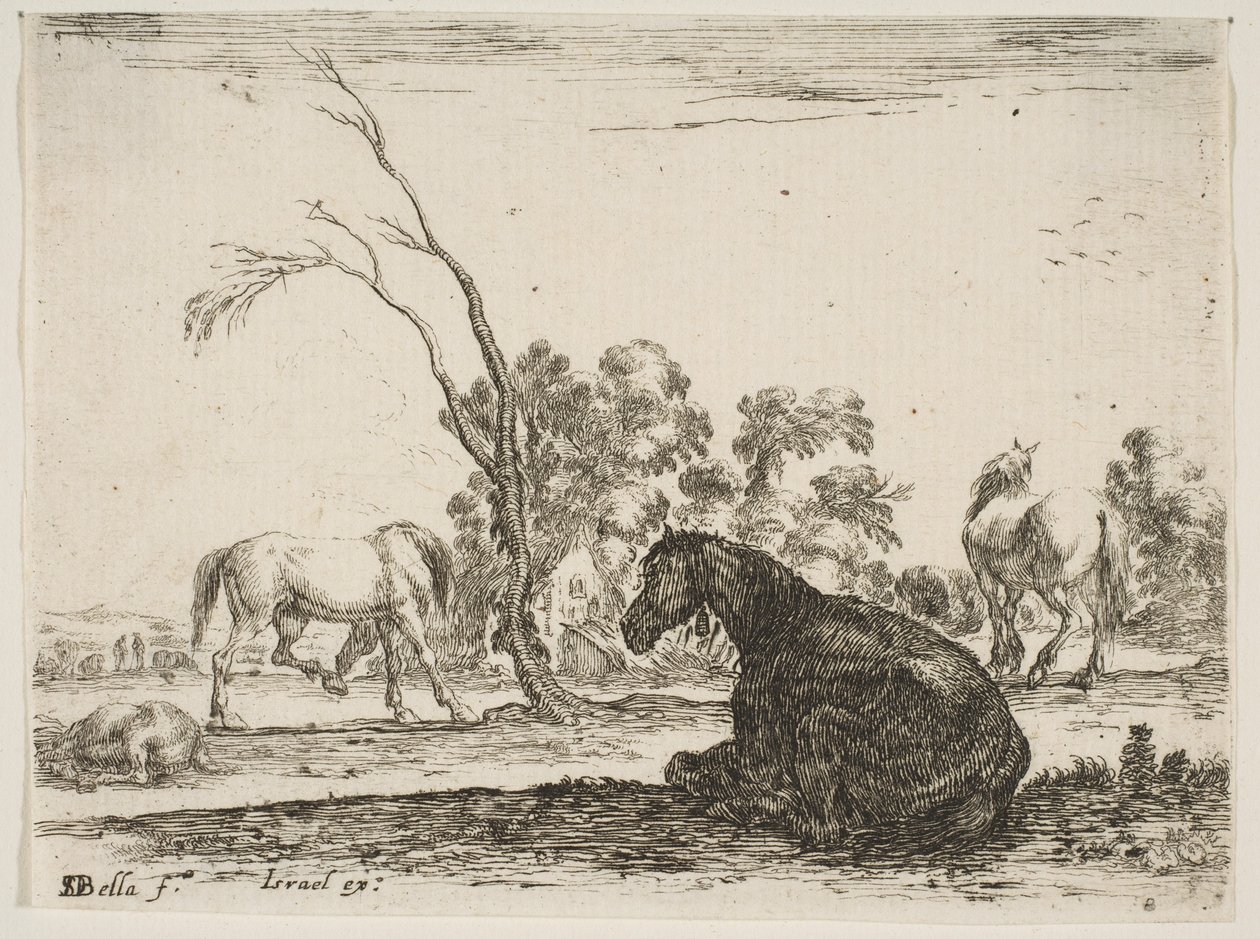 Tafel 8: ein sitzendes Pferd nach rechts, von hinten gesehen und nach links gedreht, drei andere Pferde..., 1642 von Stefano della Bella