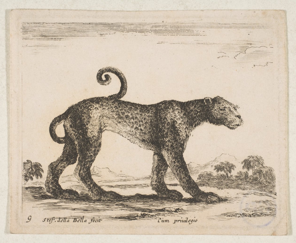 Leopard, aus 
