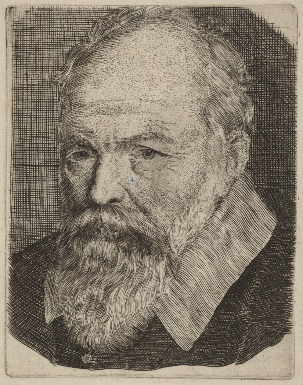Porträt eines Mannes von Stefano della Bella