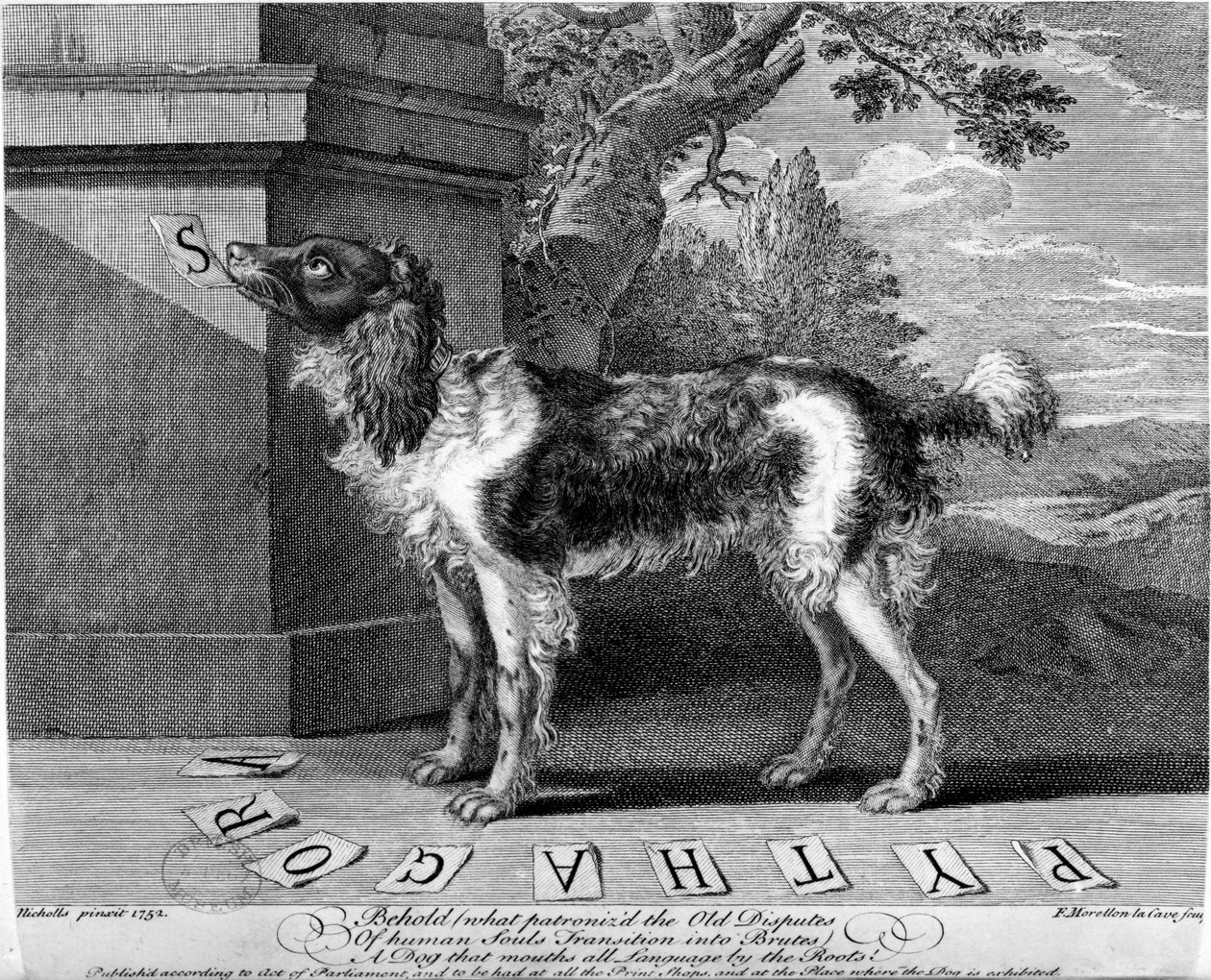 Der neue gelehrte Hund, Druck von F-Morellon la Cave, 1752 von Sutton Nicholls