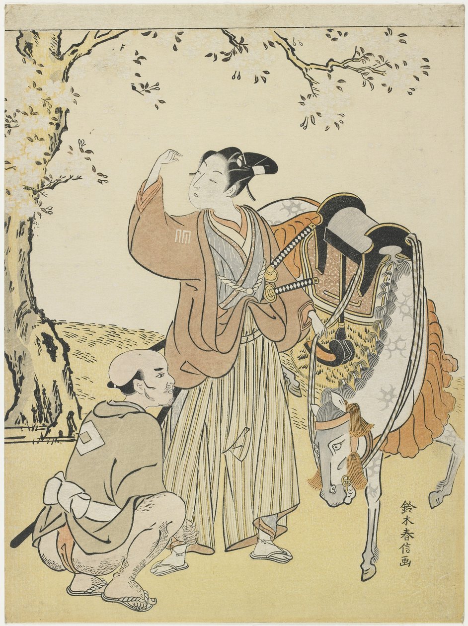 Junger Samurai betrachtet Kirschblüten als Mitate von Prinz Kaoru, ca. 1767 von Suzuki Harunobu