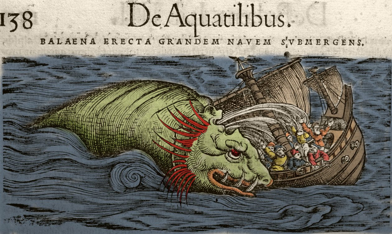 Seemonster greift ein Schiff an, Illustration aus 