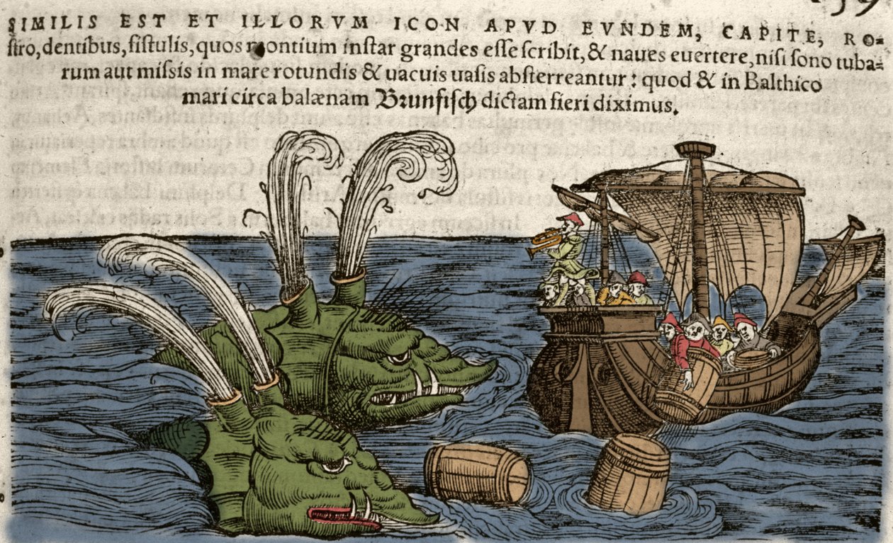 Seemonster, Illustration aus 