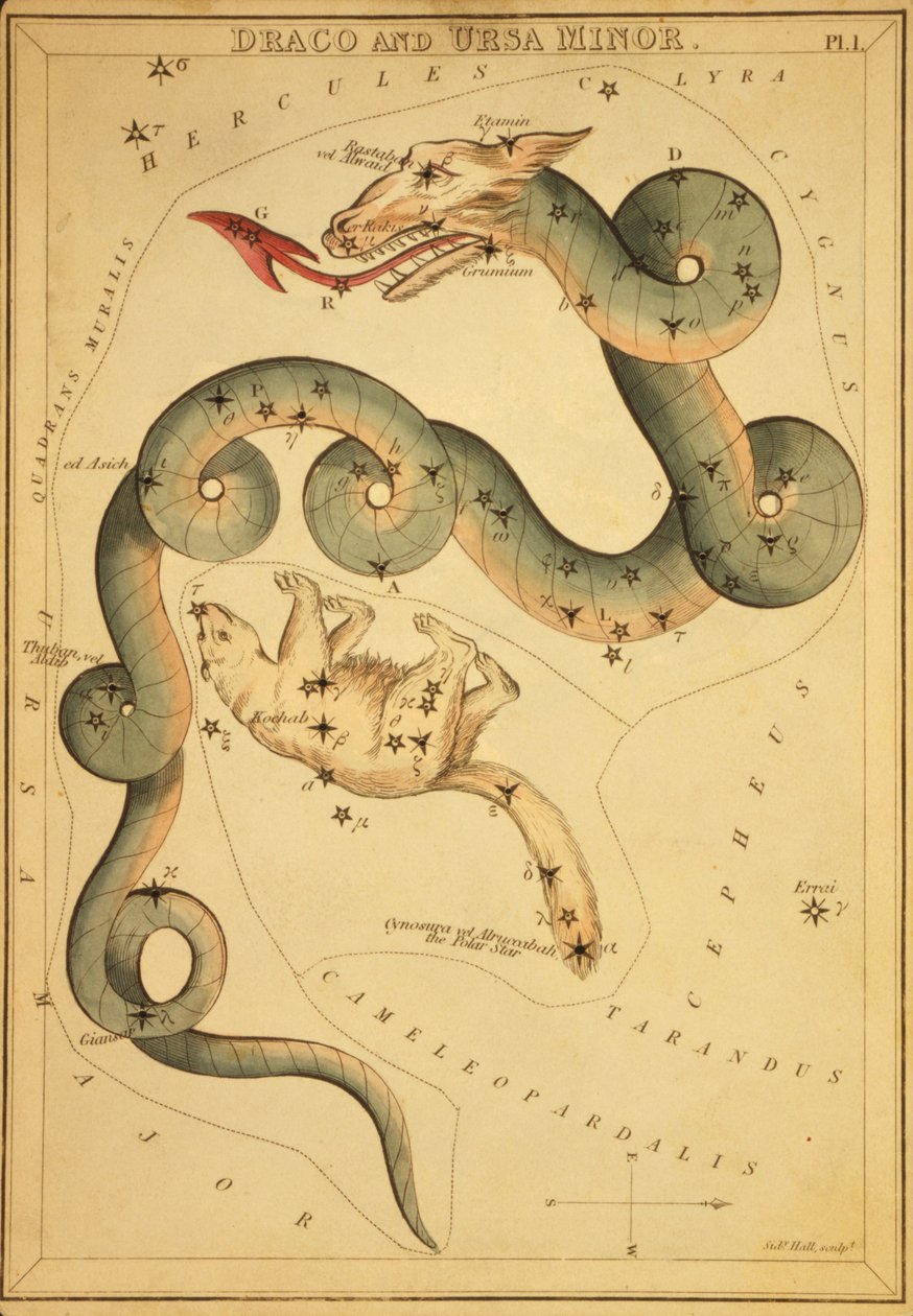 Draco und Ursa Minor, Illustration aus 