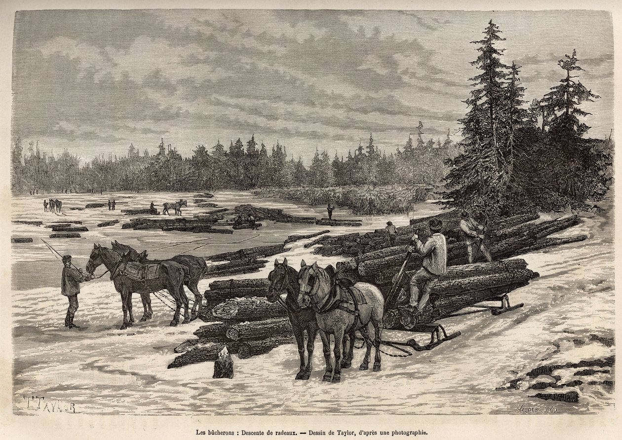 Das Herablassen der Flöße in Ontario, die Holzfäller entladen die gefällten Stämme und installieren sie auf dem gefrorenen Fluss, dann werden die Stämme während des Tauwetters vom Strom an den Ort getragen, wo sie entladen und verarbeitet werden, Gravur na von T Taylor