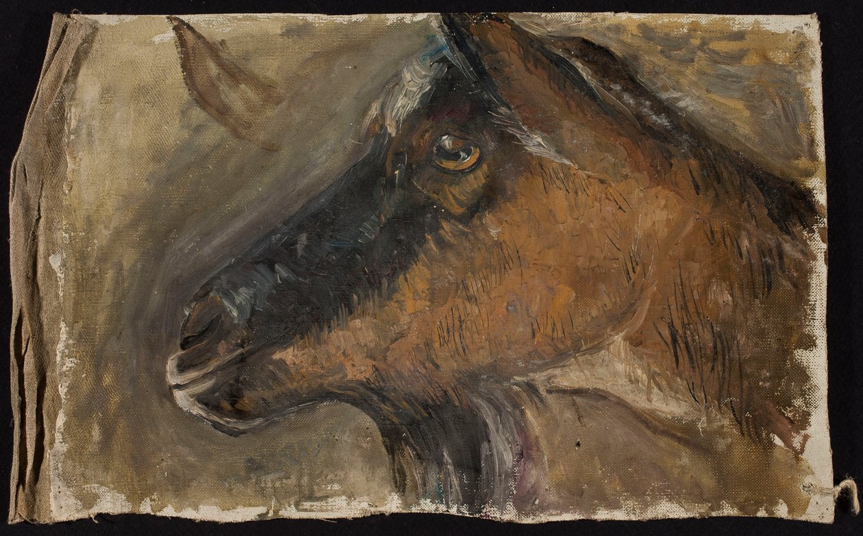 Studie eines Ziegenkopfes von Tadeusz Makowski