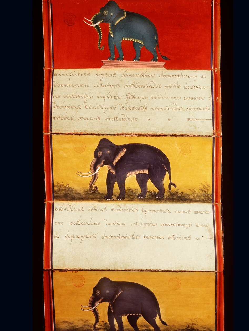 Folio aus einem Manuskript über Elefantentraining von Thai School