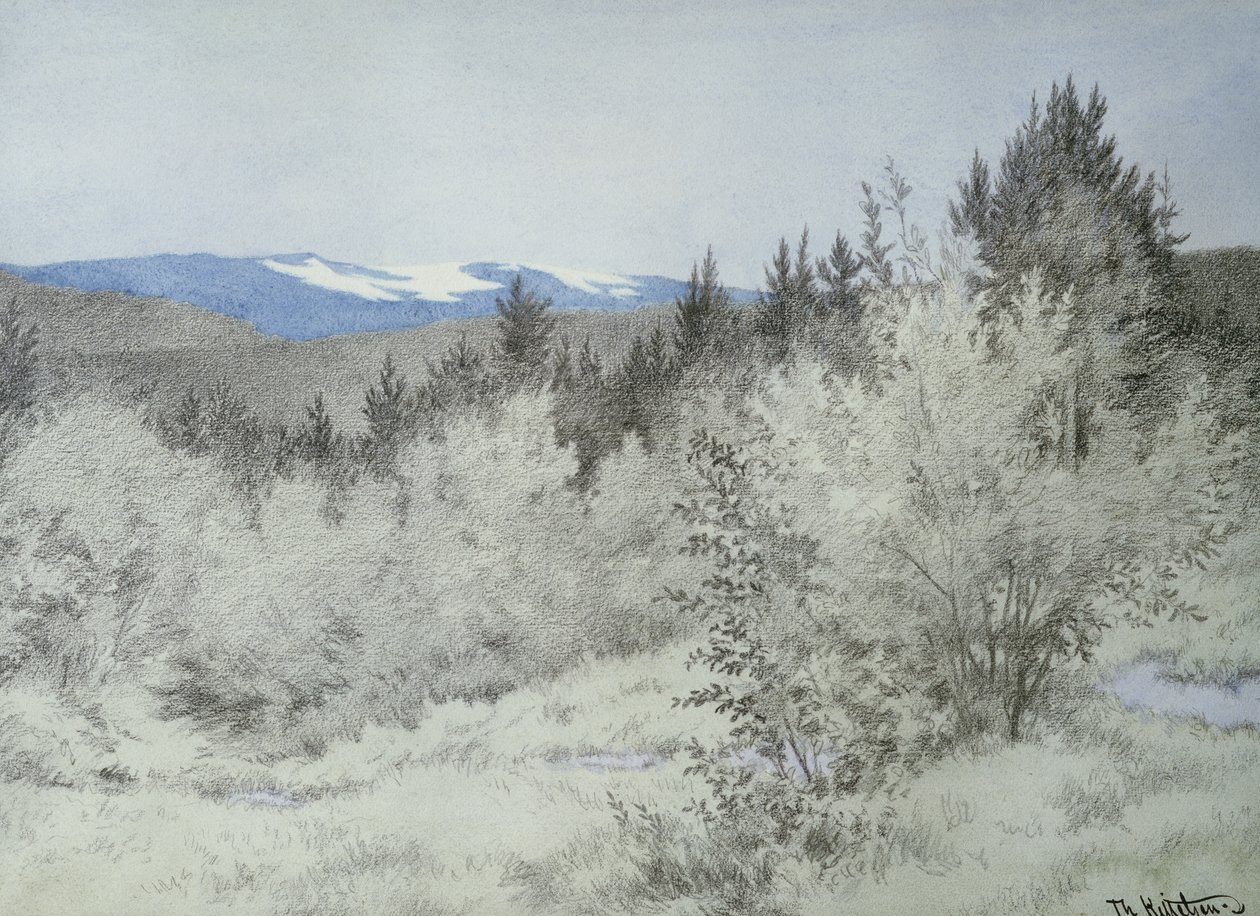 Weit entfernt im Wald von Theodor Severin Kittelsen
