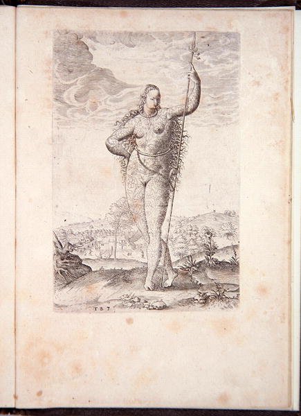 Tochter der Pikten, aus A briefe and true report of the new found land of Virginia, Grand Voyages, gedruckt von Johann Wechel von Theodore de Bry