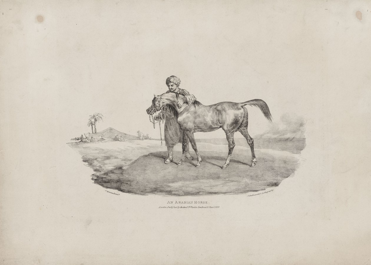 Ein arabisches Pferd von Theodore Gericault
