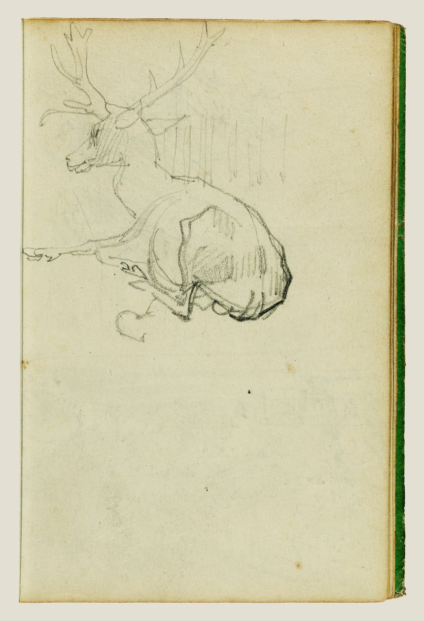 Sitzender Hirsch von Theodore Gericault
