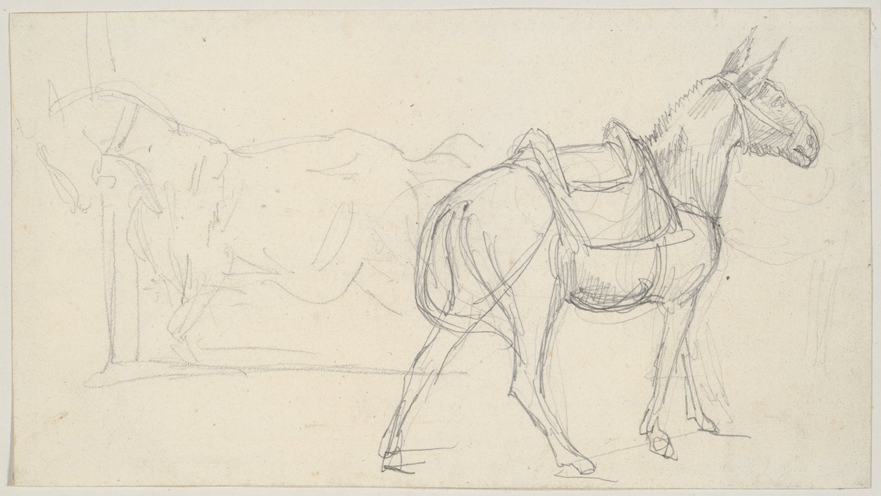 Skizze eines Pferdes von Theodore Gericault