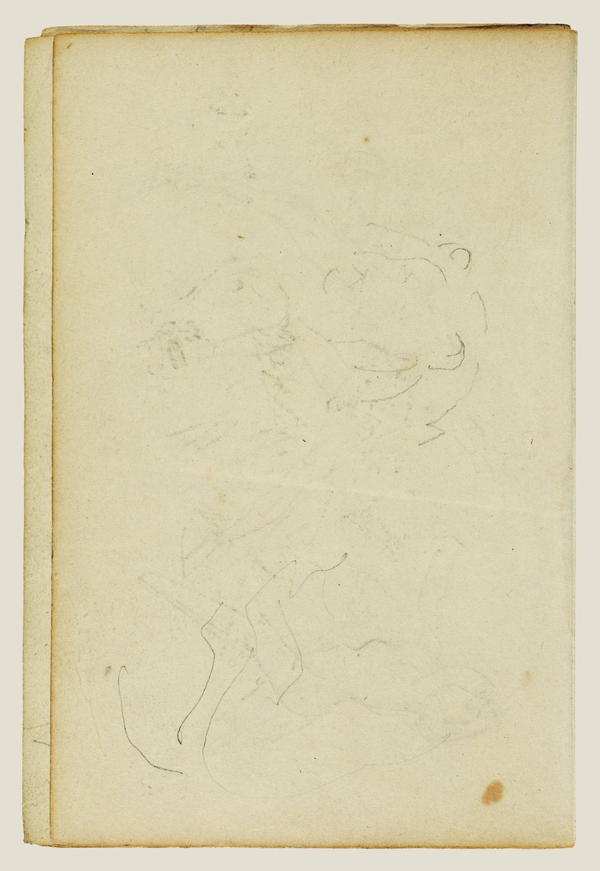 Skizzen von Kopf und Hinterbeinen eines Löwen von Theodore Gericault