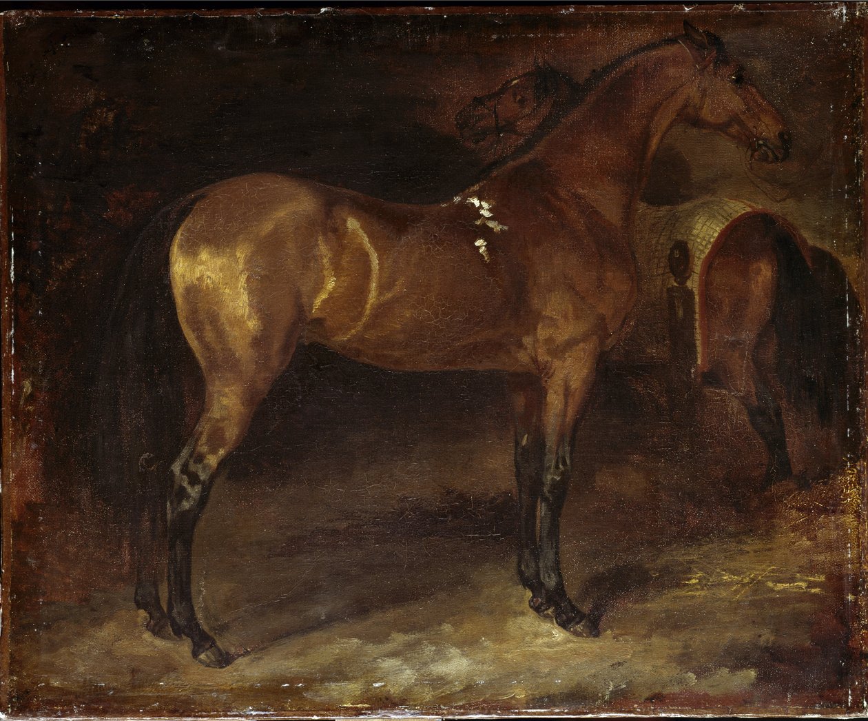 Spanisches Pferd von Theodore Gericault
