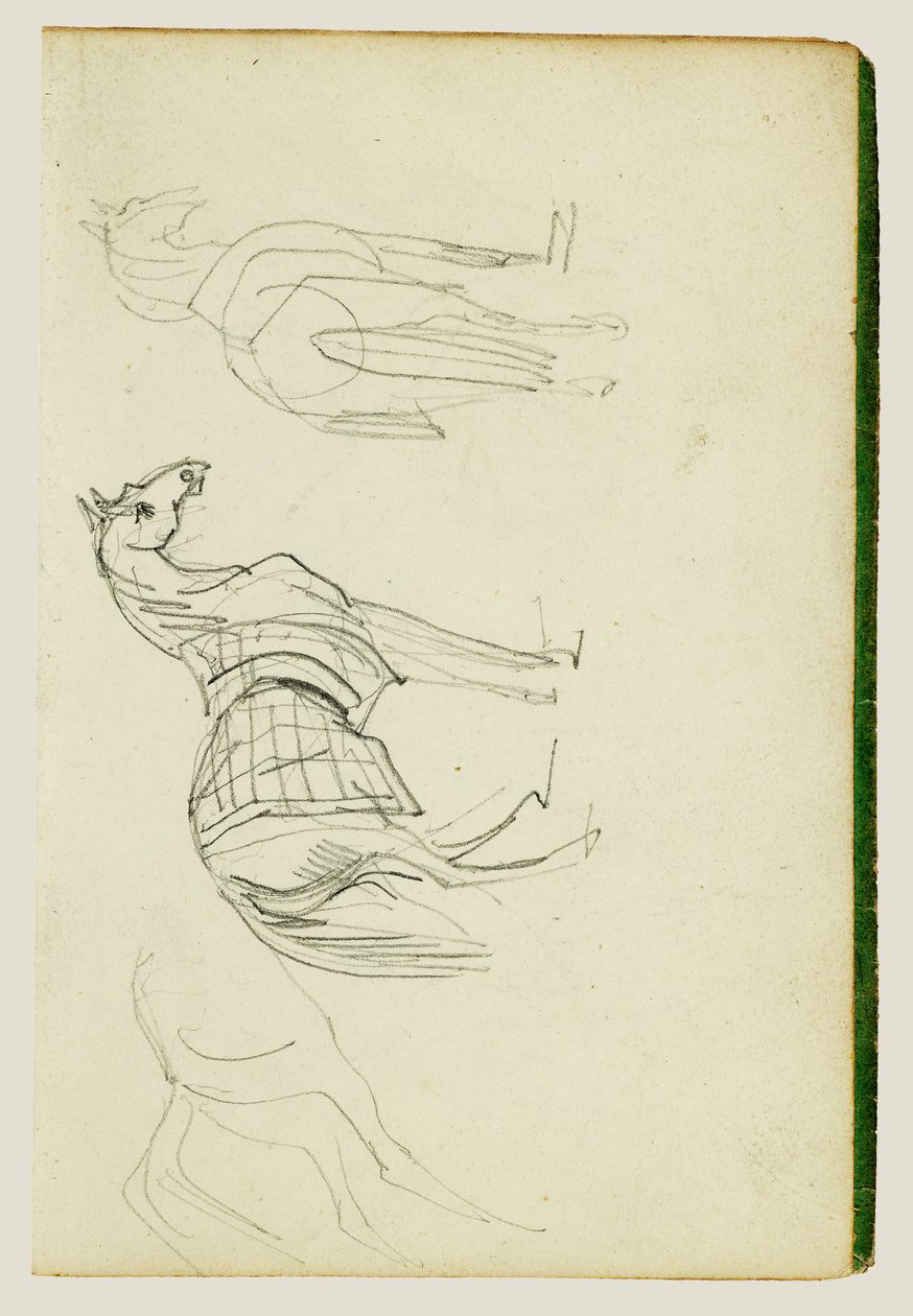 Drei Pferdestudien von Theodore Gericault