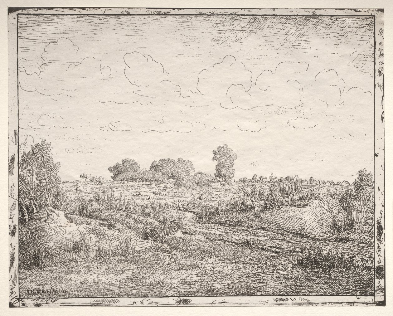 Die Ebene von La Plante bei Biau von Theodore Rousseau