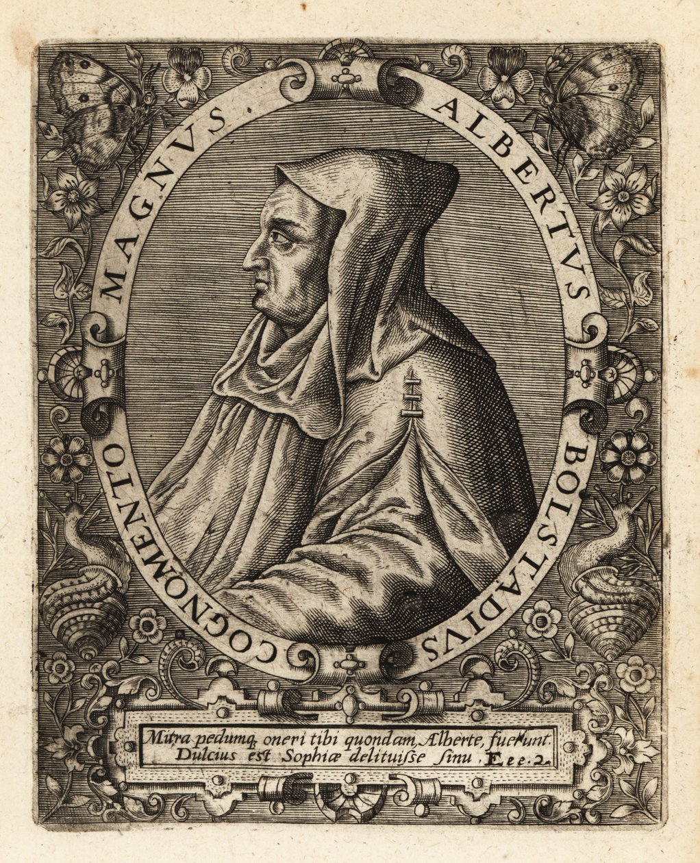 Albertus Magnus, deutscher katholischer Bischof von Theodore de Bry