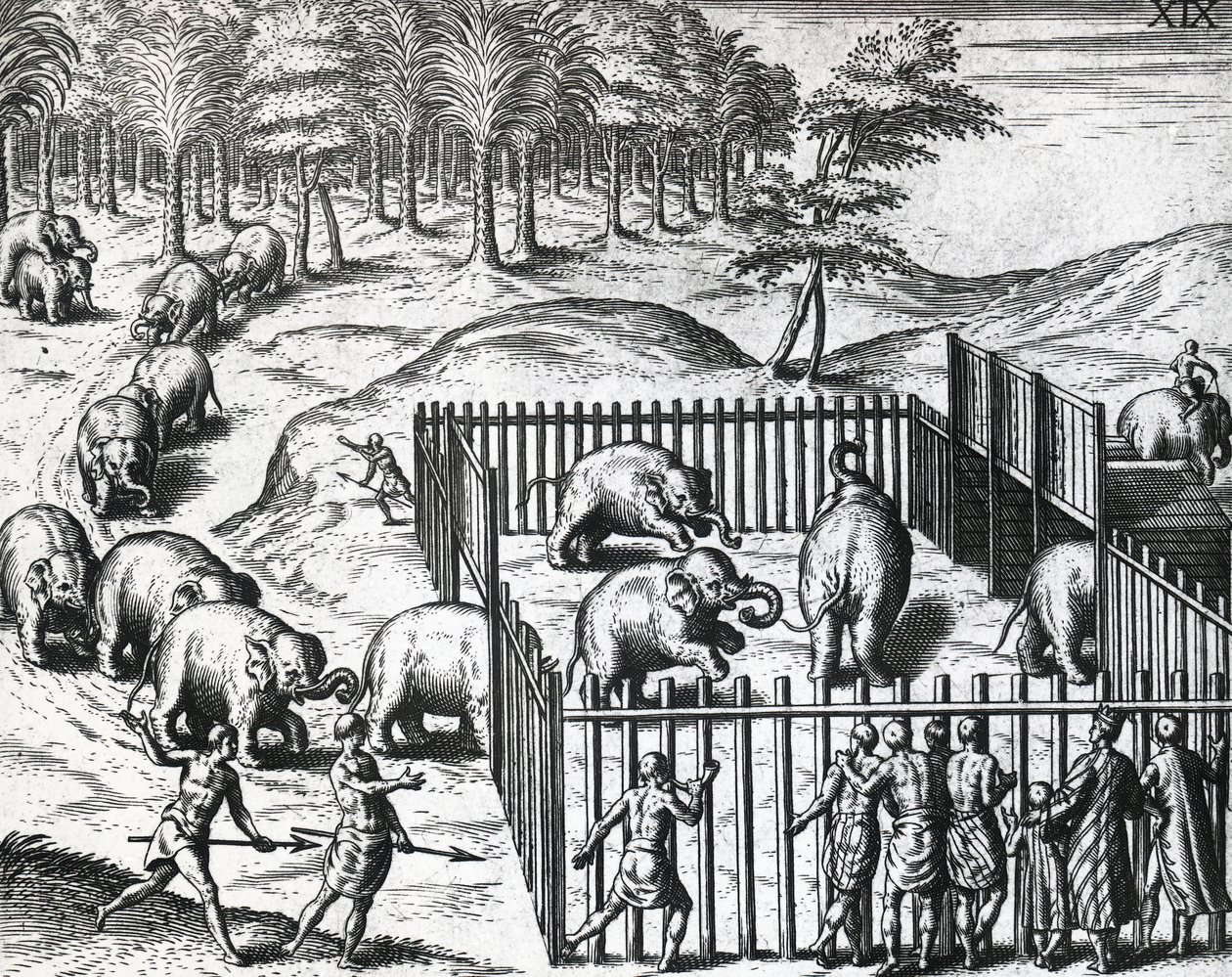 Elefantenjagd im Königreich Pegu, jetzt Myanmar, von Theodor de Bry, Gravur von Theodore de Bry