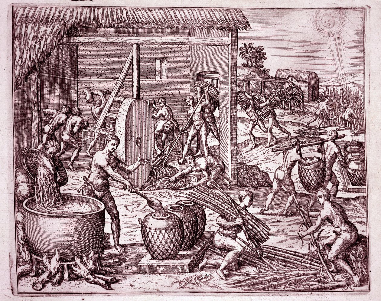Geschichte Amerikas: Zuckerrohrernte und Zuckerproduktion durch indianische Sklaven, die für die spanischen Konquistadoren arbeiten (Gravur) von Theodore de Bry