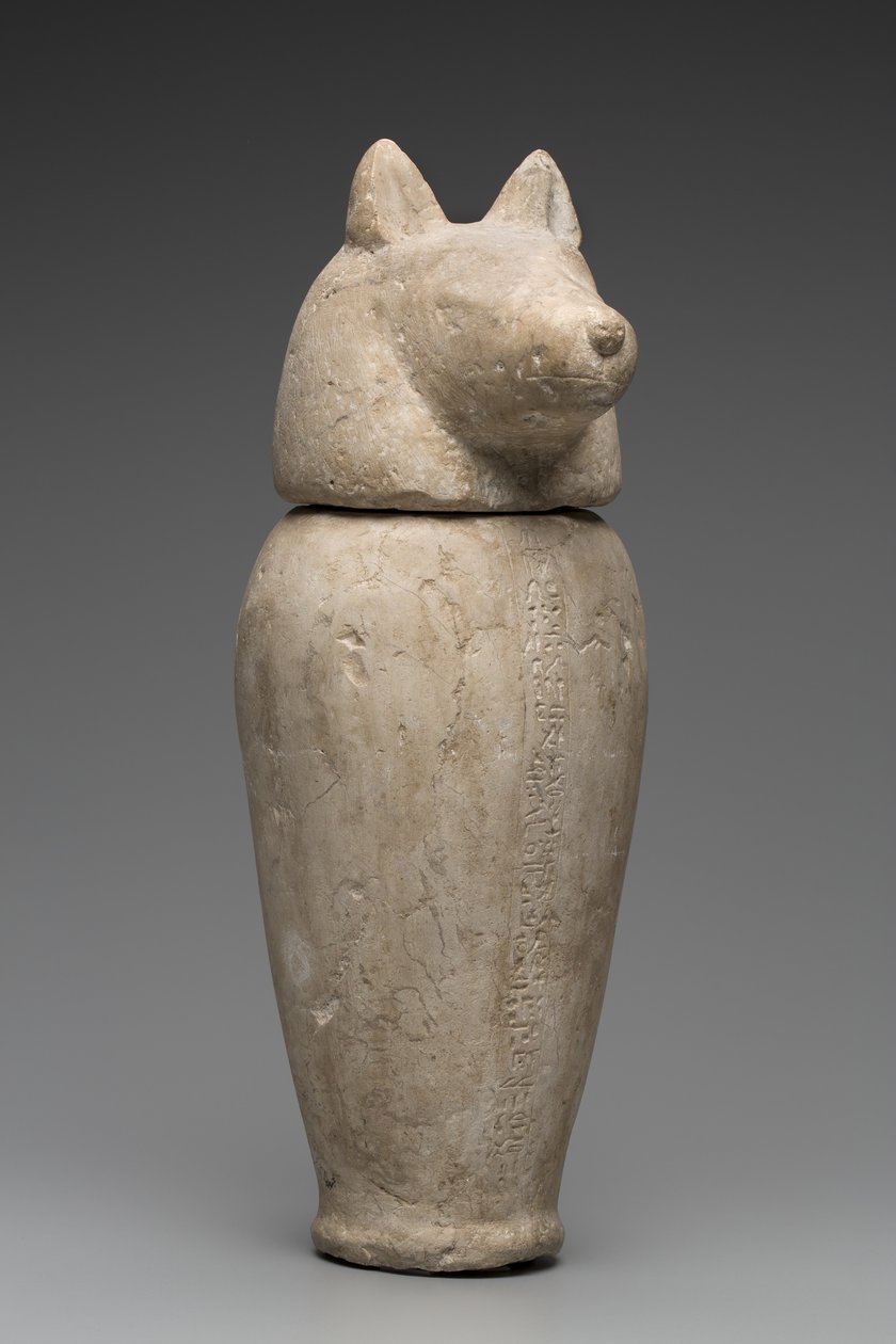 Kanopengefäß mit Schakalkopf (Kalkstein) von Third Intermediate Period Egyptian