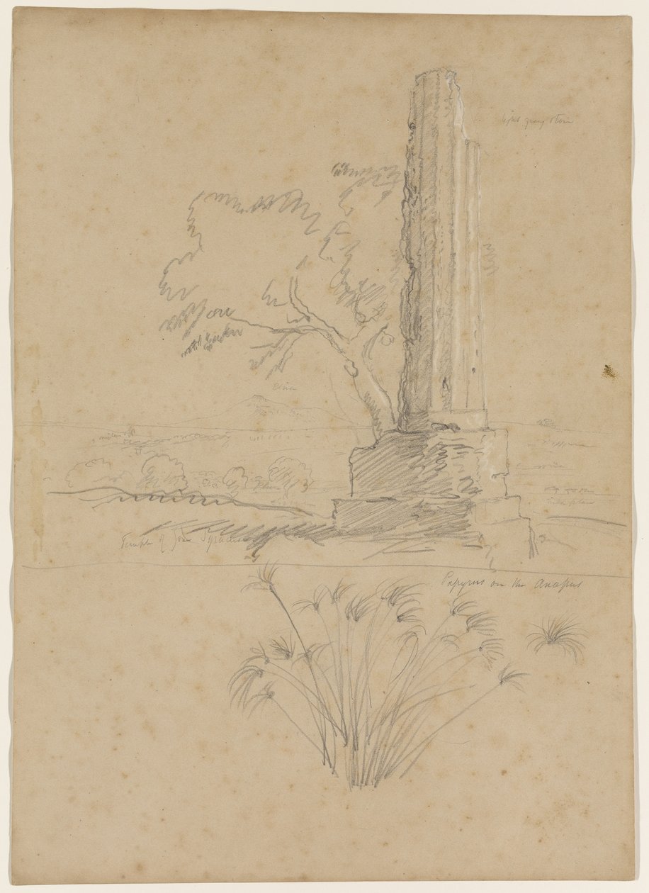 Tempel des Zeus und Papyrus am Fluss Anapo, nahe Syrakus, Sizilien, 1842 von Thomas Cole