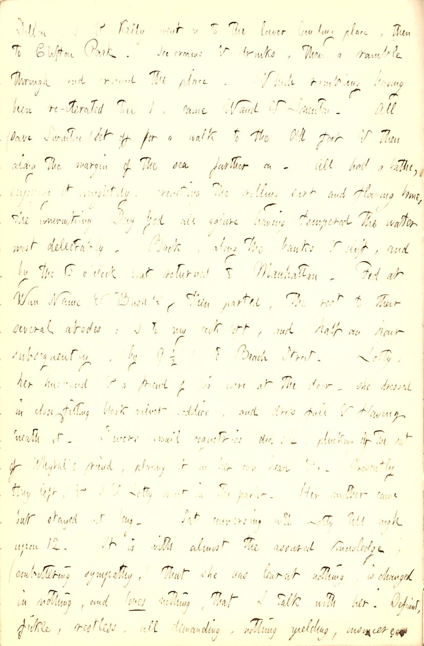 Thomas Butler Gunn Tagebücher - Band 5, Seite 211, 5. Juni 1853 von Thomas Butler Gunn