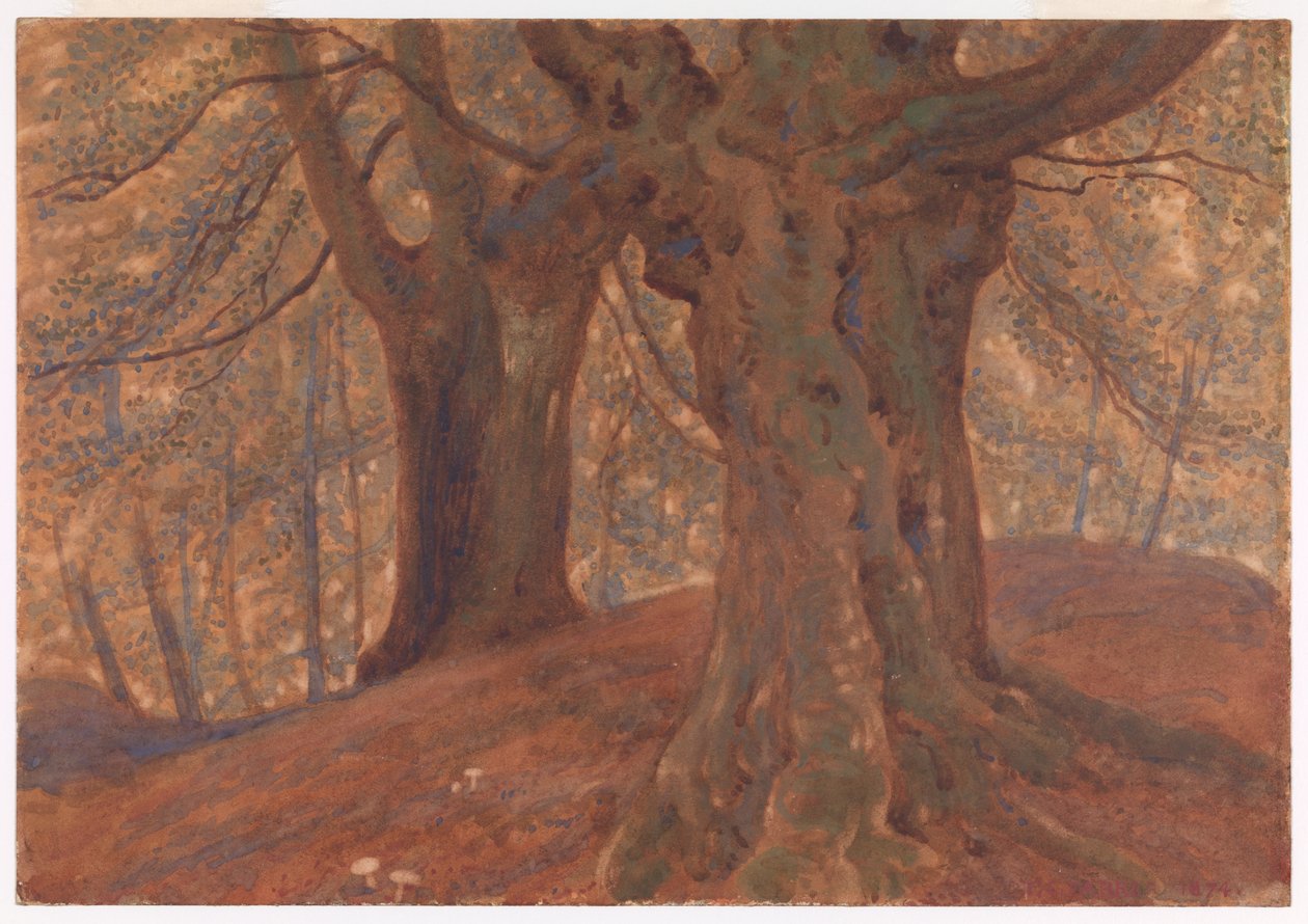 Burnham Beeches von Thomas Charles Farrer