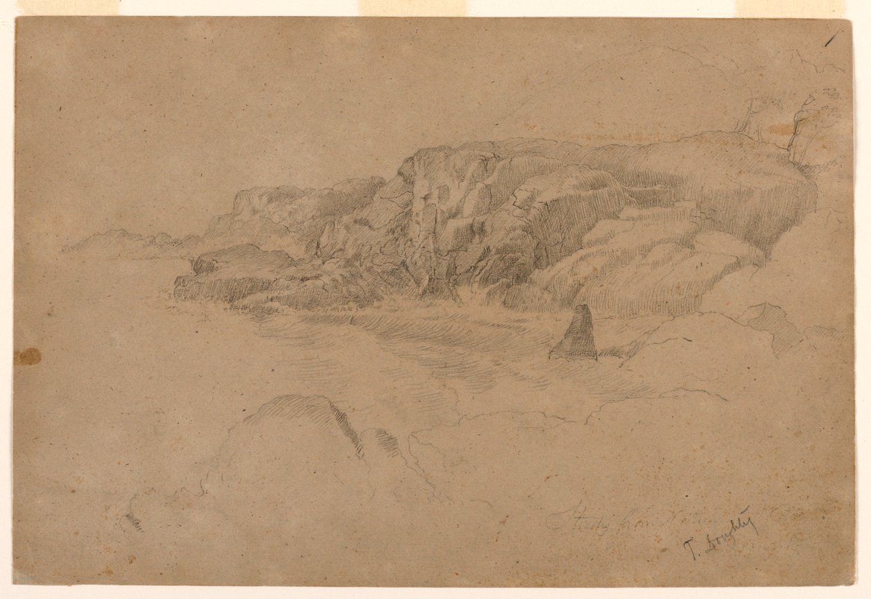 Studie aus der Natur von Thomas Doughty