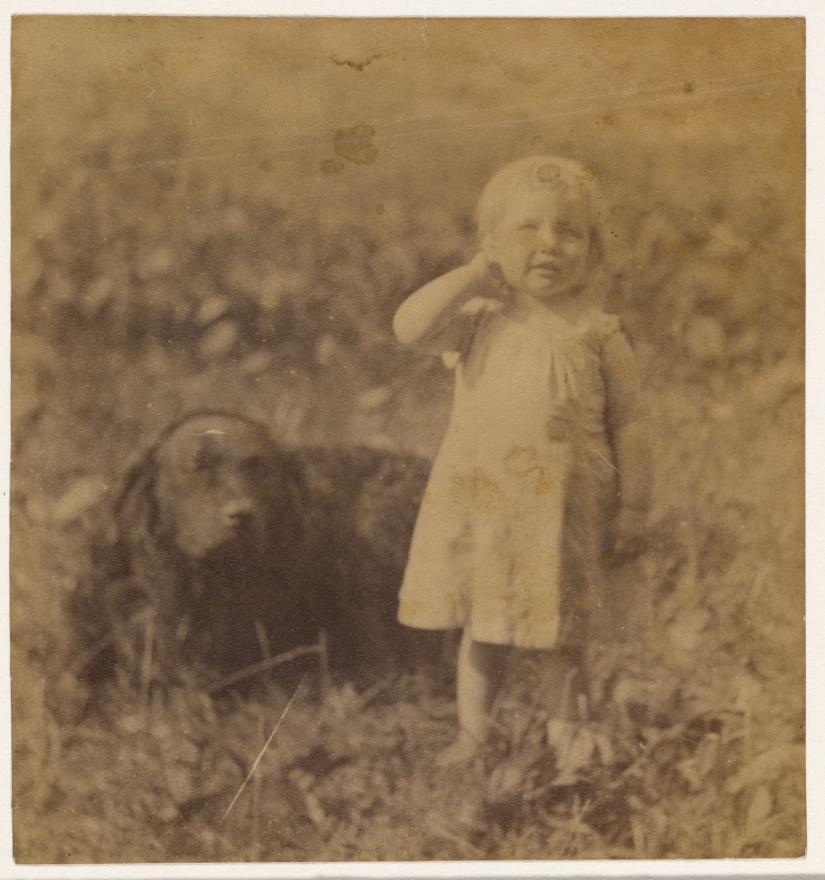 [Katie Crowell?] von Thomas Eakins