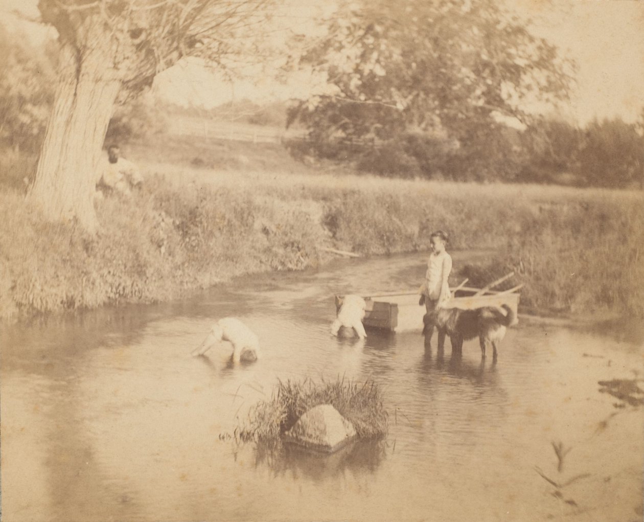 Drei Kinder und ein Hund spielen im Bach, 4. Juli 1883 von Thomas Eakins
