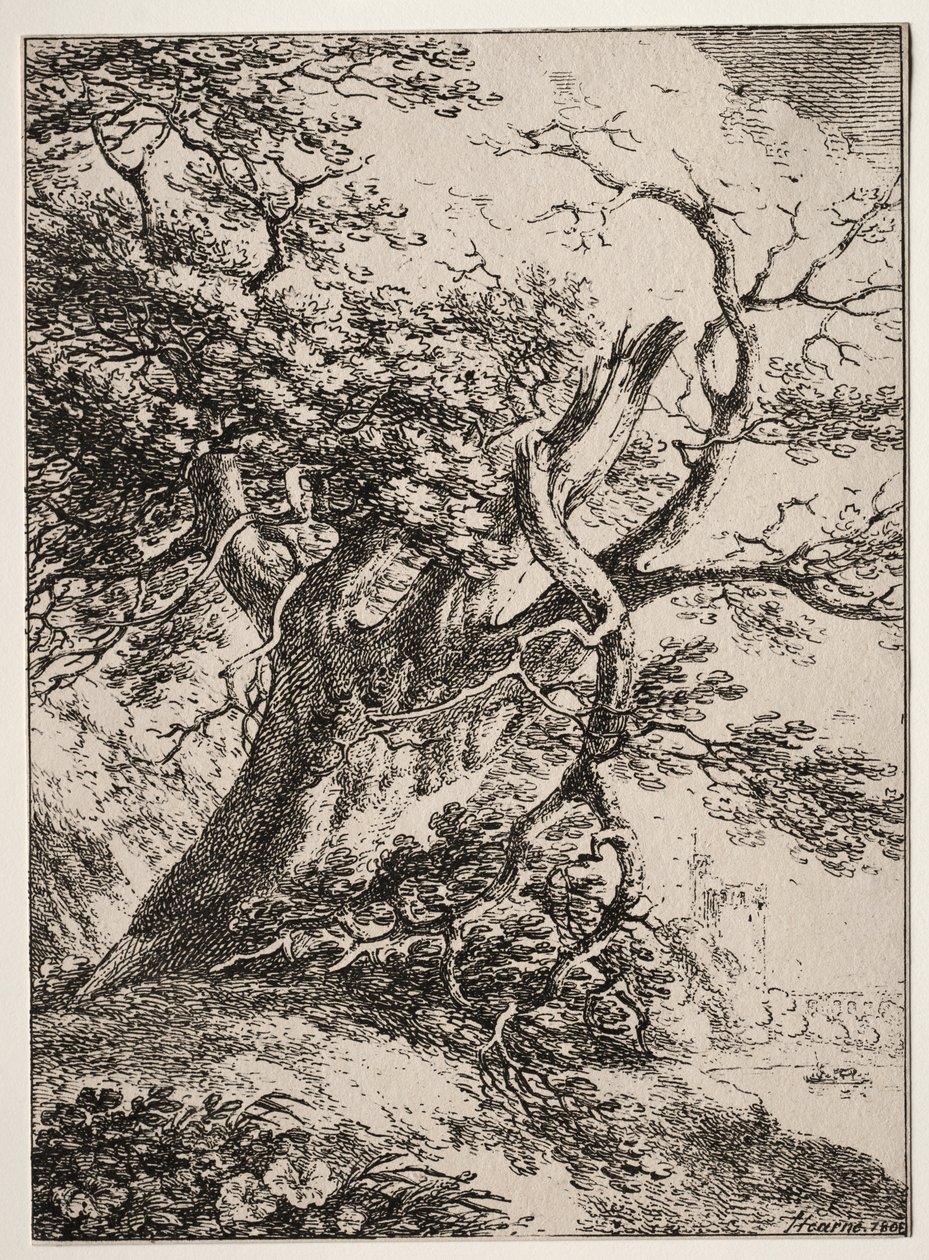 Beispiele der Polyautographie: Landschaft mit einer Eiche von Thomas Hearne