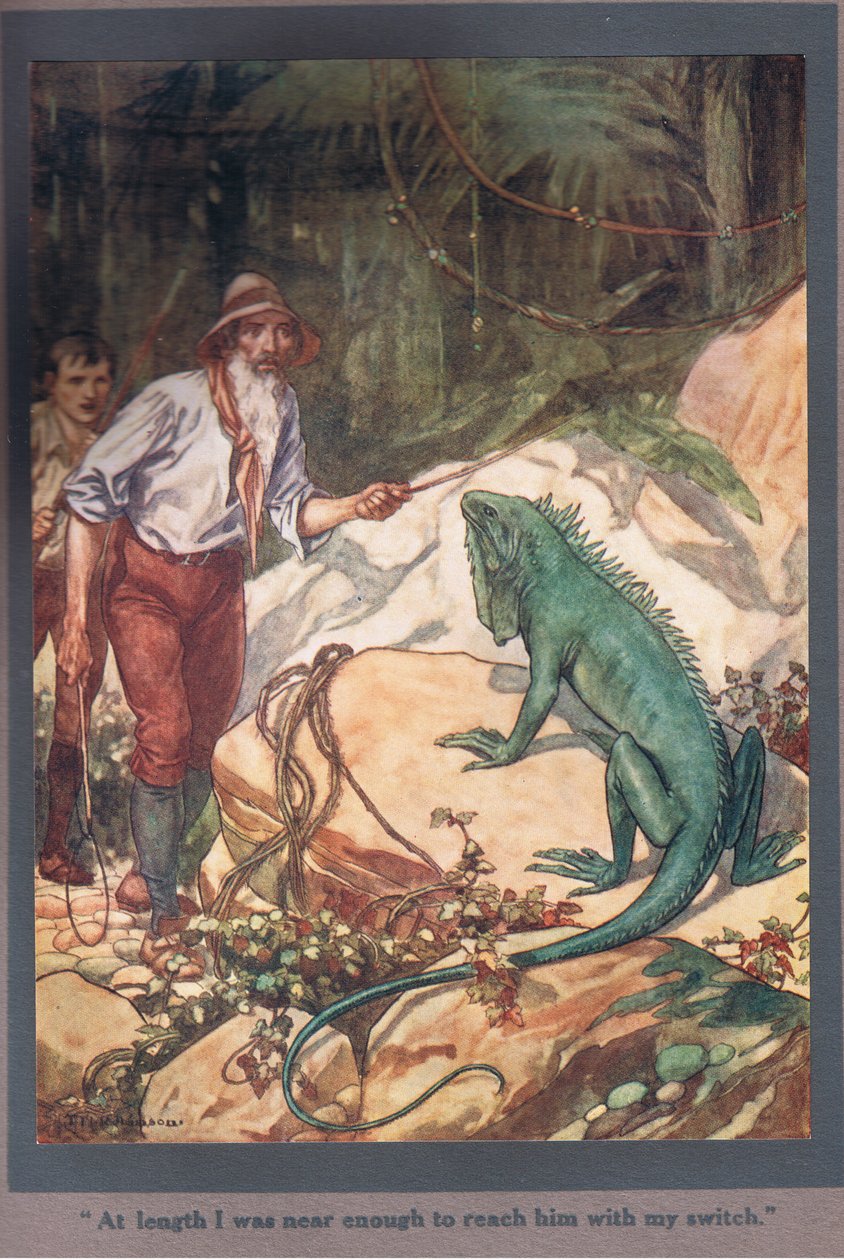 Schließlich war ich nah genug, um ihn mit meinem Stock zu erreichen von Thomas Heath Robinson