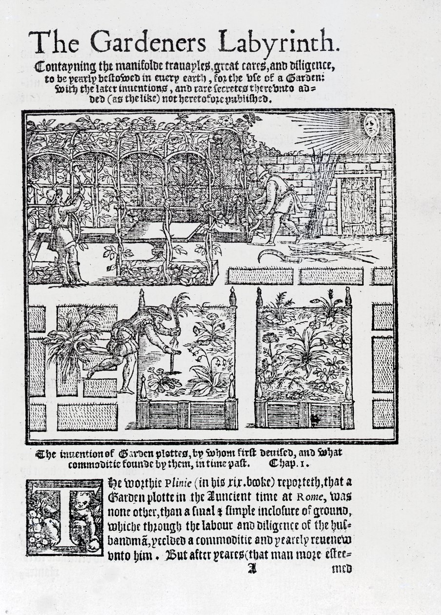 Laube als Sonnenschutz und Pflanzung in Hochbeeten, aus The Gardeners Labyrinth, 1577 von Thomas Hill
