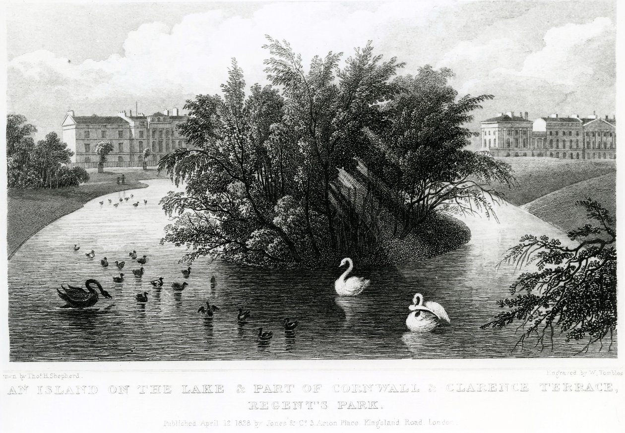 Eine Insel auf dem See und ein Teil von Cornwall und Clarence Terrace, Regent
