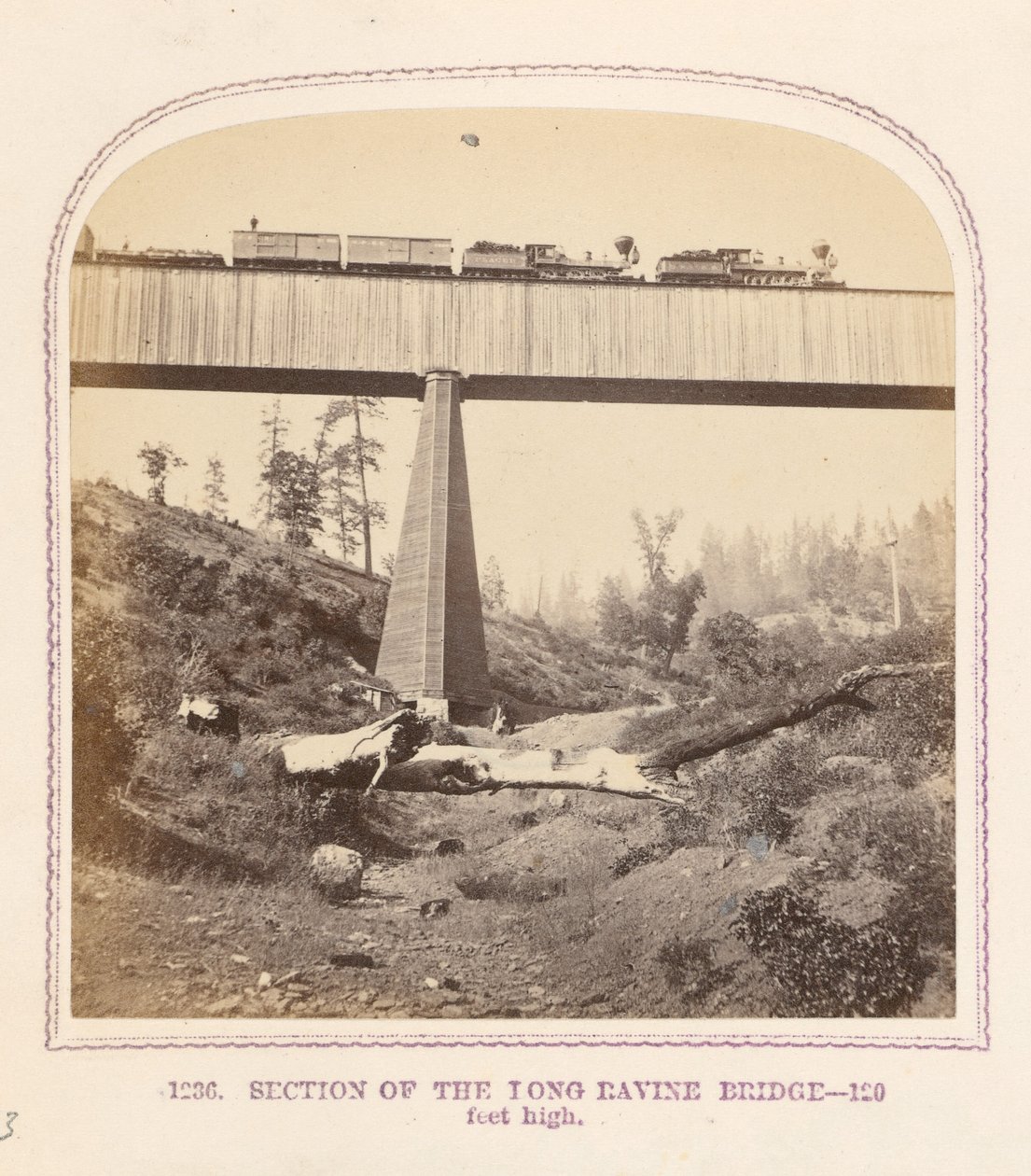 Abschnitt der Long Ravine Brücke von Thomas Houseworth