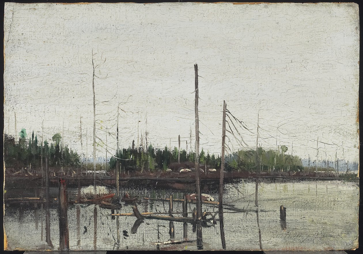 Überflutetes Land von Tom Thomson