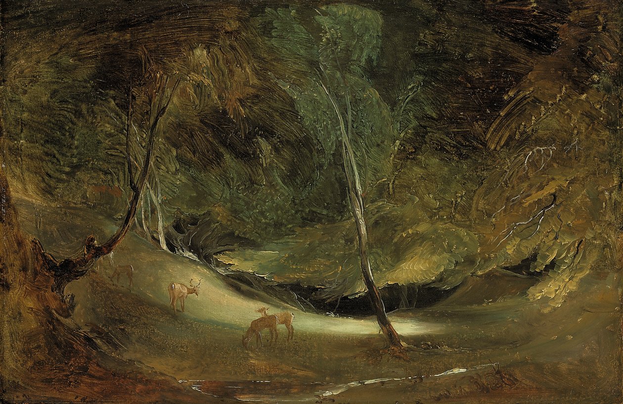 Die Quelle des Manifold im Ilam Park von Thomas Lawrence